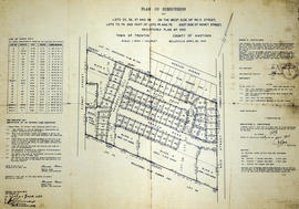 Subdivision of Lots 35-38 in in the Town of Trenton