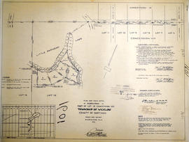 Subdivision of part of Lot 12 in the Township of Wicklow