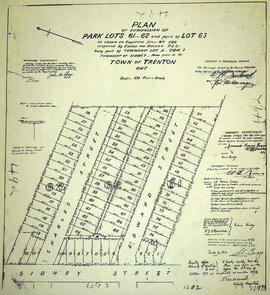 Subdivision of Park Lots 61-62 in the town of Trenton