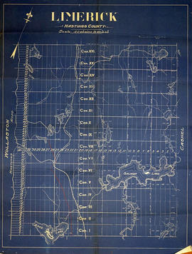 Map of Limerick Township