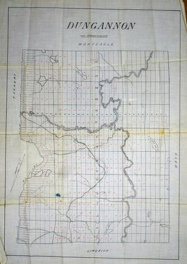 Map of Dungannon Township