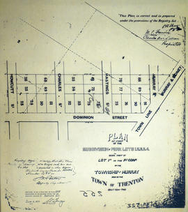 Plan of Park Lots 1-4 in the Township of Murray