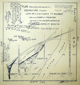 Plan showing Branch Line, Lots 2-4 in the Township of Murray