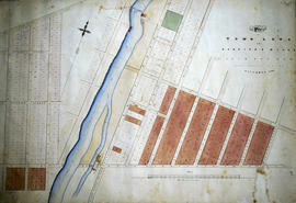 Plan of town lots at Canniff's Mills