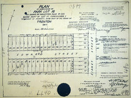 Subdivision of Park Lots 16 in the town of Trenton