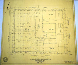 Survey Plan and Physical Features of Belleville