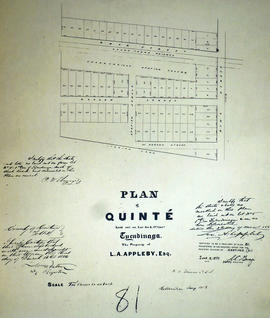 Plan of Quinte in the Township of Tyendinaga