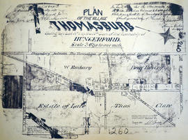 Plan of the village of Thomasburg