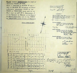 Subdivision of part of Lot 3 in the Town of Trenton