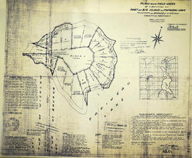 Subdivision of part of Big Island on Papineau Lake