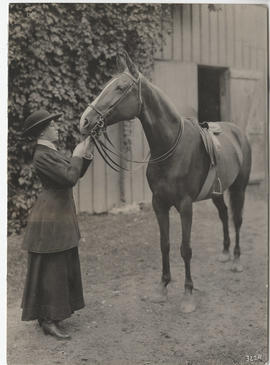 Braidwood, Gwendolyn